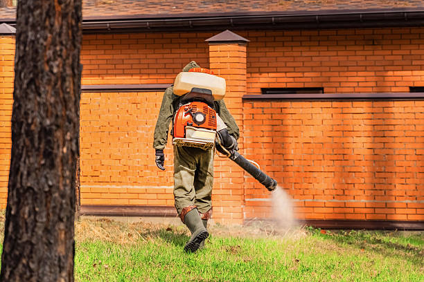 Trusted Rodent Control service in Cudahy, WI - Nex Pest Control